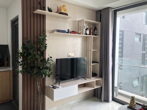 DISTRICT 7 APARTMENT 1 BEDROOM FULL OPTIONS FOR RENT