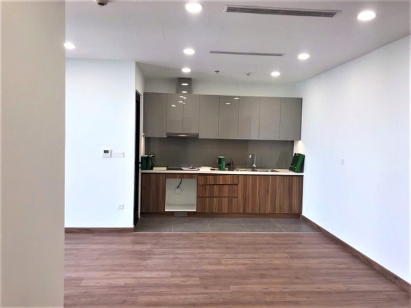 DISTRICT 7 ECOGREEN SAIGON  APARTMENT 2 BEDROOMS FOR SELL