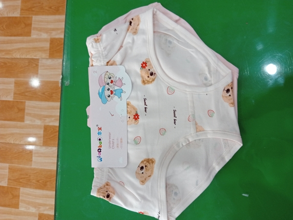 Sét 2 quần chip chéo TE 8244