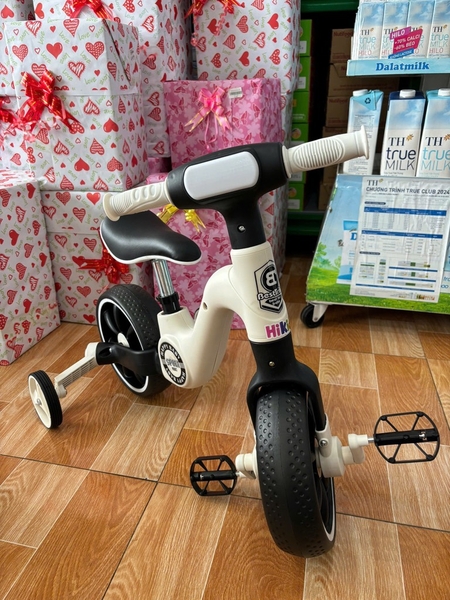 Xe đạp thăng bằng 4 bánh