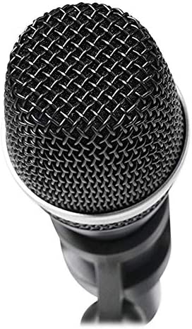 MICRO CÓ DÂY CHÍNH HÃNG : AKG - D5C