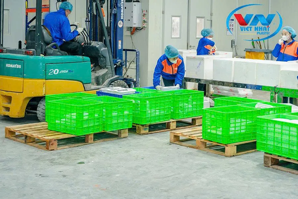 Rổ nhựa đựng trái cây tại Việt Nhật