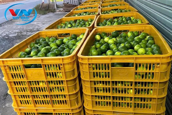 Sọt đựng chanh tại Nhựa Việt Nhật