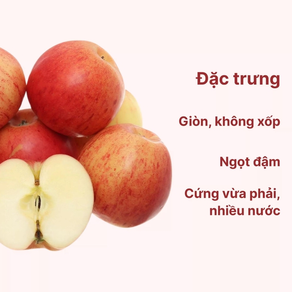 Táo Premium túi 1kg (1 Túi)