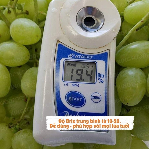 Nho xanh Sweet Globe Úc 450g (1 Hộp)