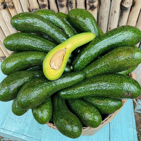 Bơ 034 từ 3-4 trái (1kg)