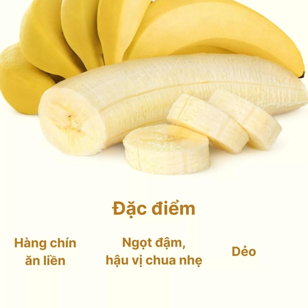 Chuối già Nam Mỹ nhánh 1KG (1 nhánh)