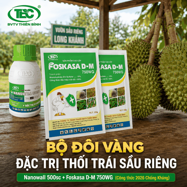 Thuốc đặc trị thối trái sầu riêng Nanowall 500sc và Foskasa D-M 750WG hiệu quả nhất 2026.