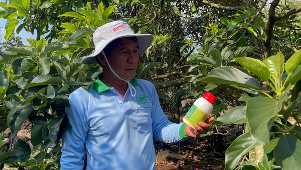 Nông dân đang cầm sản phẩm thuốc trừ sâu hóa học