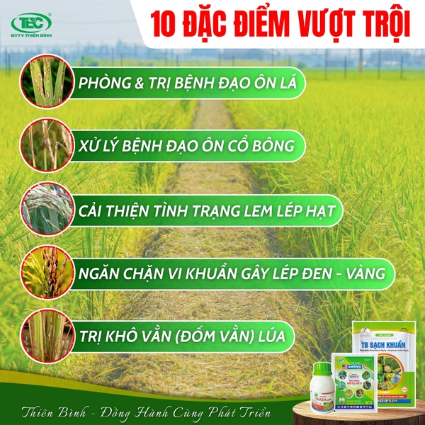 BỘ 3 KIM CƯƠNG