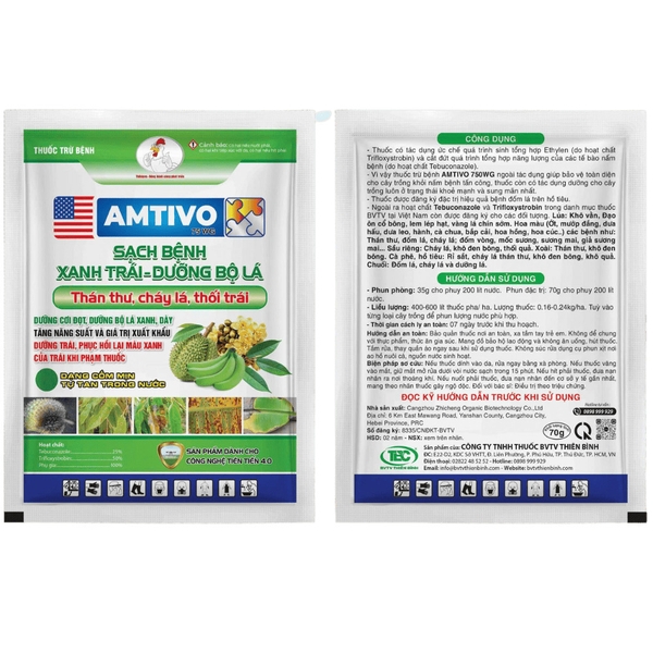 AMTIVO 75WG
