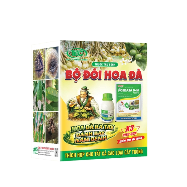 BỘ ĐÔI HOA ĐÀ