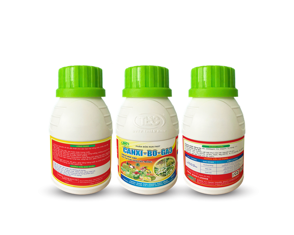 CANXI-BO-GA3