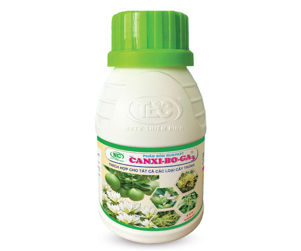 CANXI-BO-GA3
