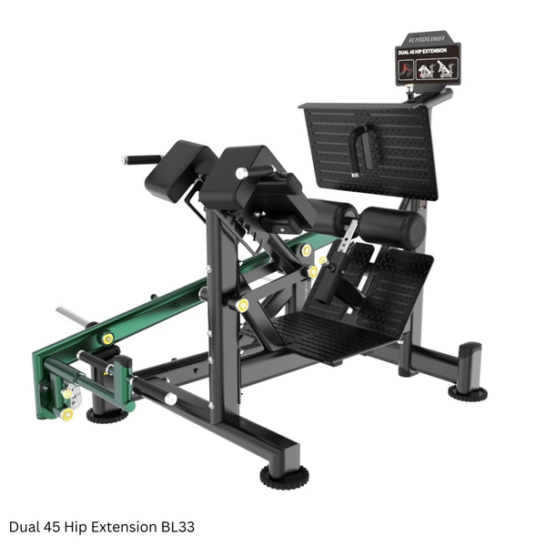 Dual 45 Hip Extension BL33