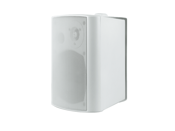 Loa đơn  treo tường 20W CMX WSK-420CW