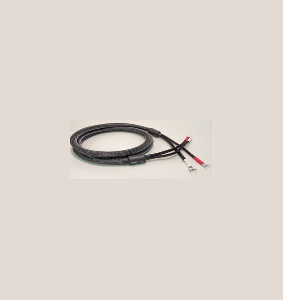 Dây loa (Speaker Cable)TAD-SC030M