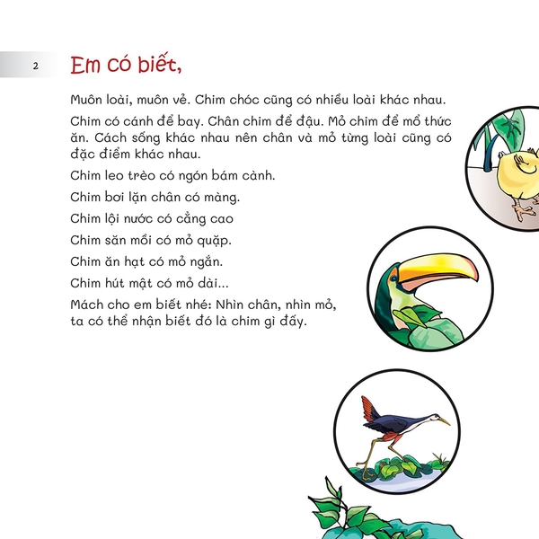 Chuyện Lạ Loài Vật - Nhìn Chân, Nhìn Mỏ Biết Rõ Chim Gì