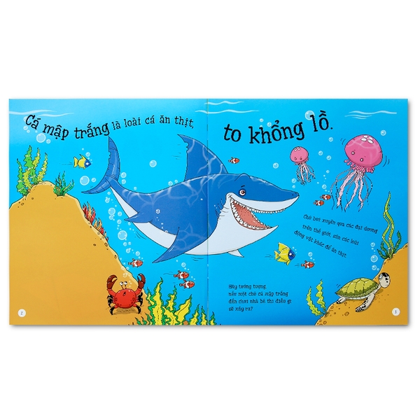 Bé Thỏa Sức Tưởng Tượng - Nếu Cá Mập Tập Thể Hình