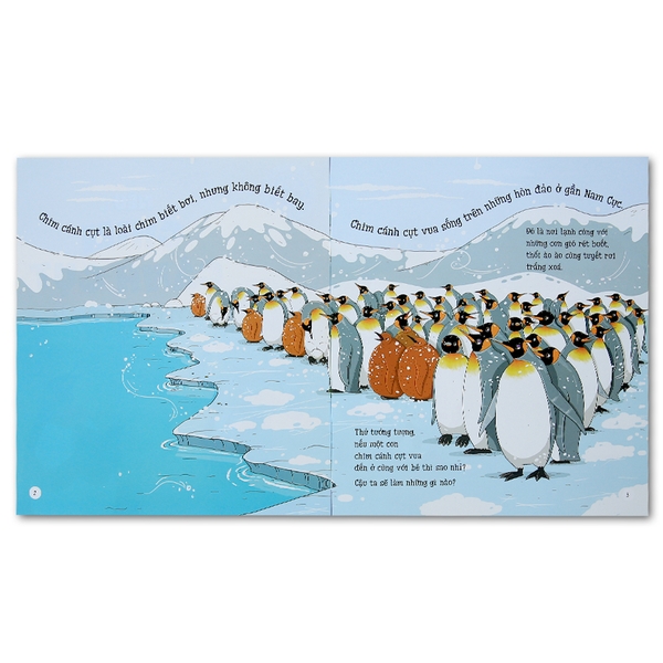 Bé Thỏa Sức Tưởng Tượng - Nếu Chim Cánh Cụt Đi Xe Đạp