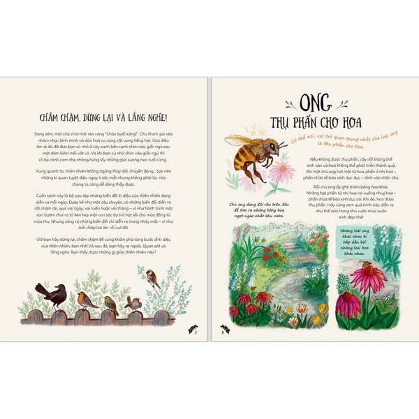 Chậm Lại Nào - Ngắm Nhìn Những Khoảnh Khắc Thiên Nhiên Kì Diệu