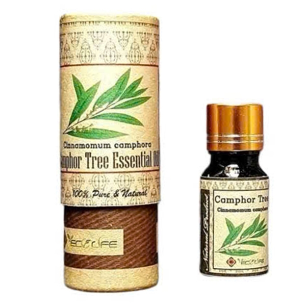 Tinh Dầu Nguyên Chất Ecolife - Hương Long Não