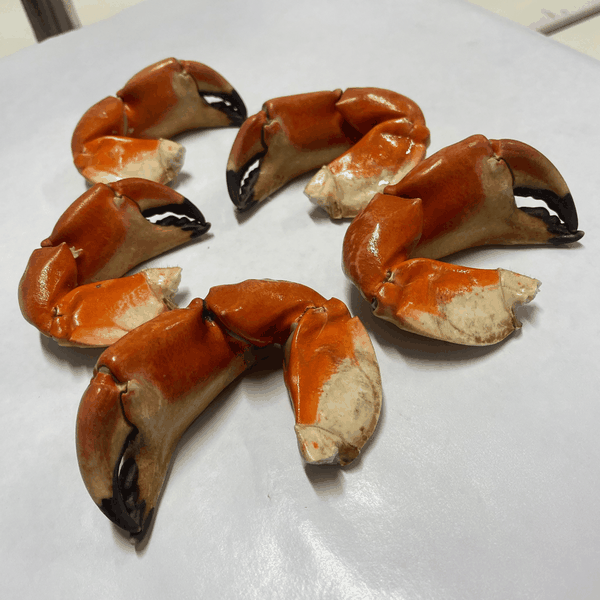 Rock Crab Claws - California