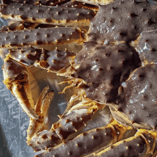 Live King Crab - Norway