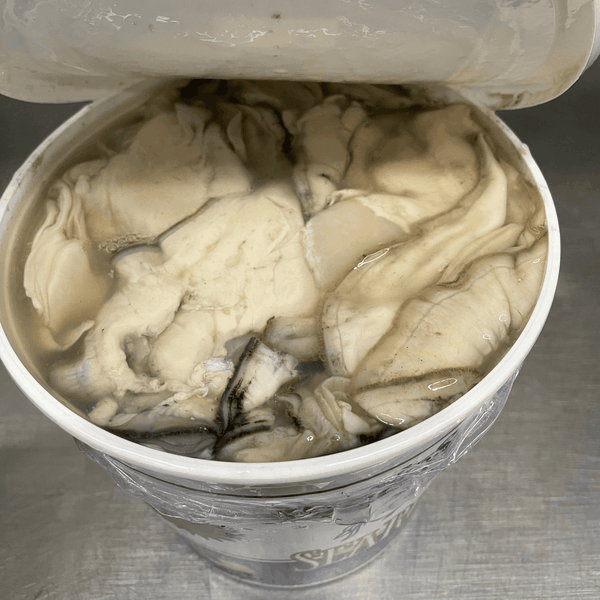 Shucked Pacific Oyster
