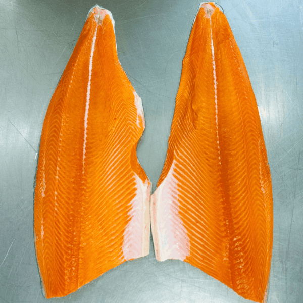 Wild King Salmon - Oregon