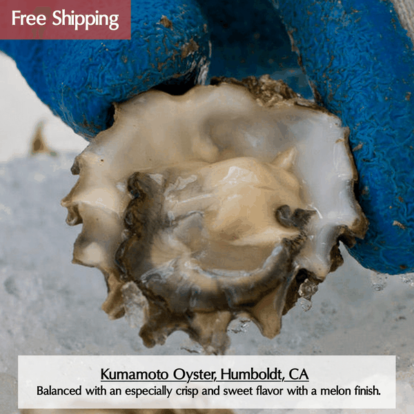 Pacific Oysters