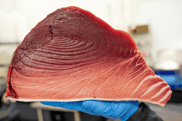 Red Tuna - Bala's Choice