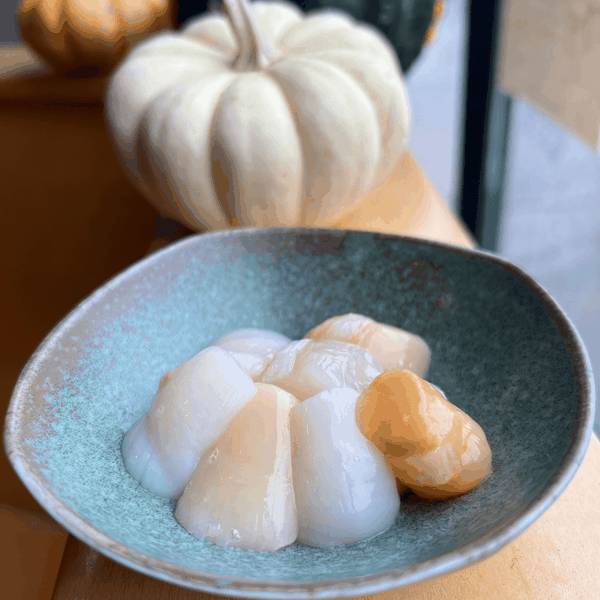 Bay Scallops - Massachusetts
