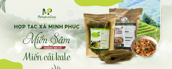 Miến Sâm Hoàng Sin Cô - Miến cải Kale