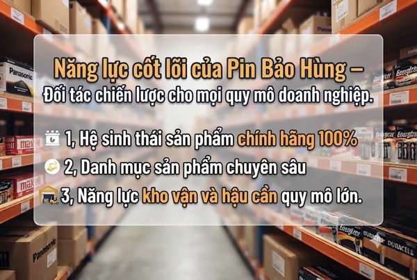 Năng lực cốt lõi của Pin Bảo Hùng