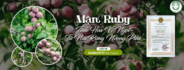 HTX Nông Nghiệp Bản Địa Noọng Piêu