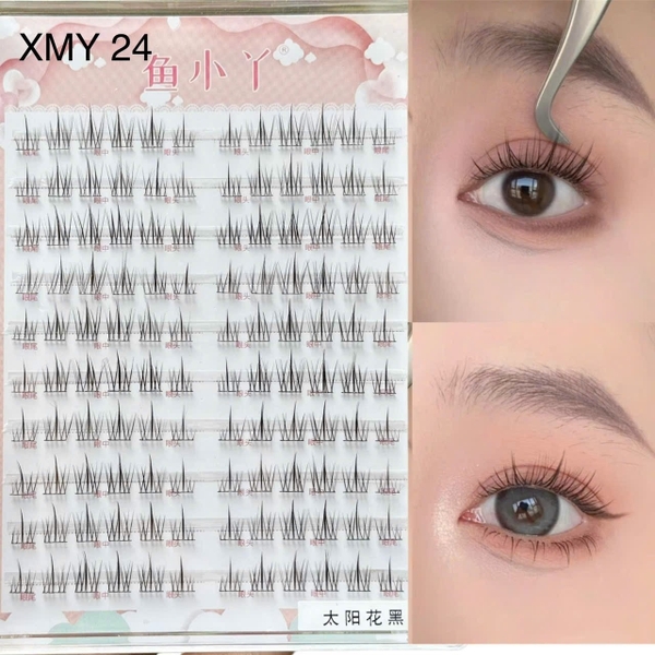 Mi chùm - XMY 24