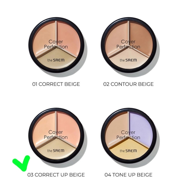 Che khuyết điểm THE SAEM cover perfection triple pot - #03