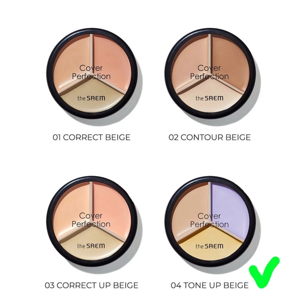 Che khuyết điểm THE SAEM cover perfection triple pot - #04