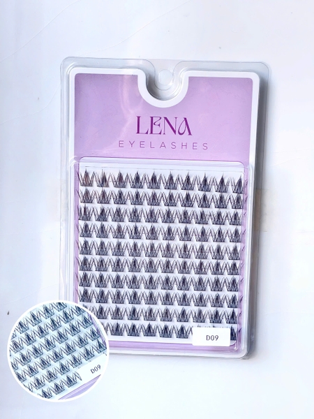 Mi LENA (chùm) - #D09