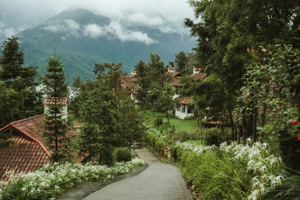 Combo resort Sapa giá tốt: 5 khu nghỉ dưỡng lý tưởng giữa mây trời