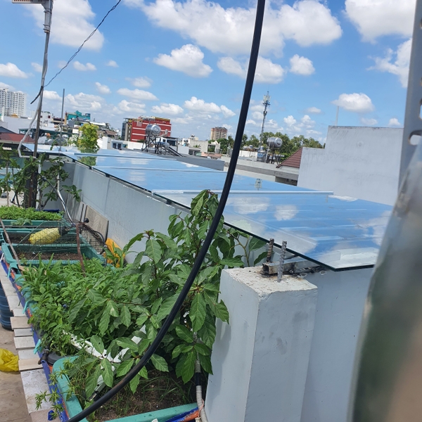 mai-che-kinh-cuong-luc