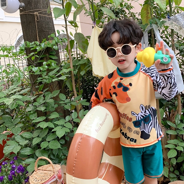 SET Bơi Ngựa Vằn DH