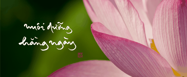Nuôi dưỡng hằng ngày
