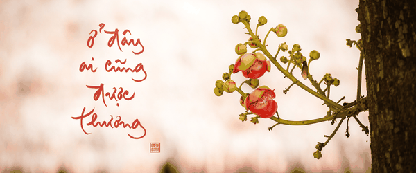 ở đây ai cũng được thương