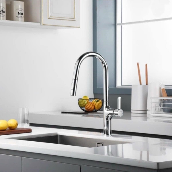 Vòi bếp nóng lạnh ESINC F20B0008