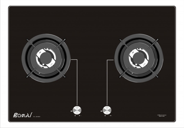 Bếp ga âm RG-204SG NEW