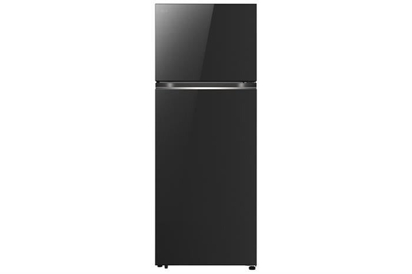 Tủ lạnh LG 217 lít LTB21BLMD