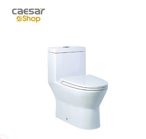 Bàn Cầu Một Khối - CD1374