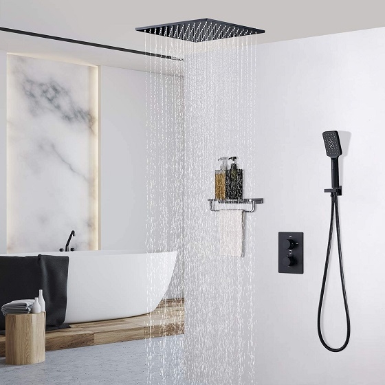 Sen tắm âm trần nhiệt độ màu đen Daelim DL-8203B (Bát 40x40cm)